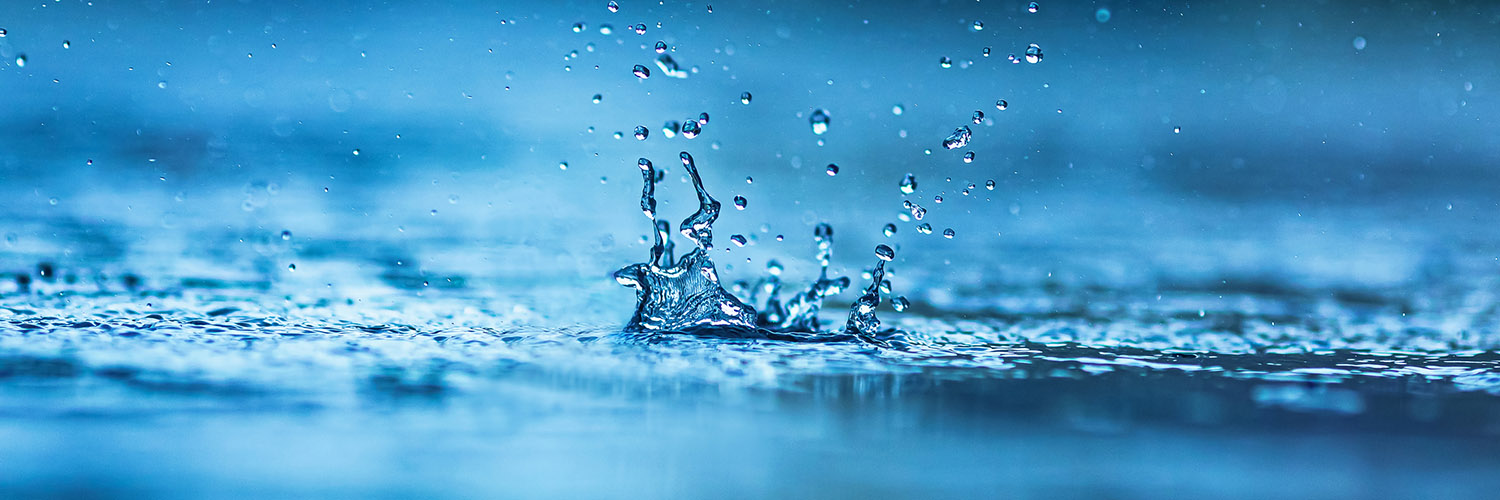 page-header-image